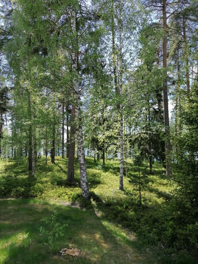 Birgittagarden - Gaesthem - Birgittasystrarna Bed & Breakfast Falun Bagian luar foto