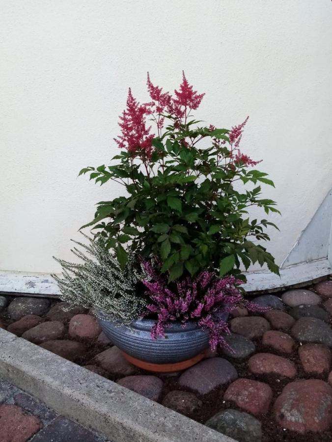 Birgittagarden - Gaesthem - Birgittasystrarna Bed & Breakfast Falun Bagian luar foto