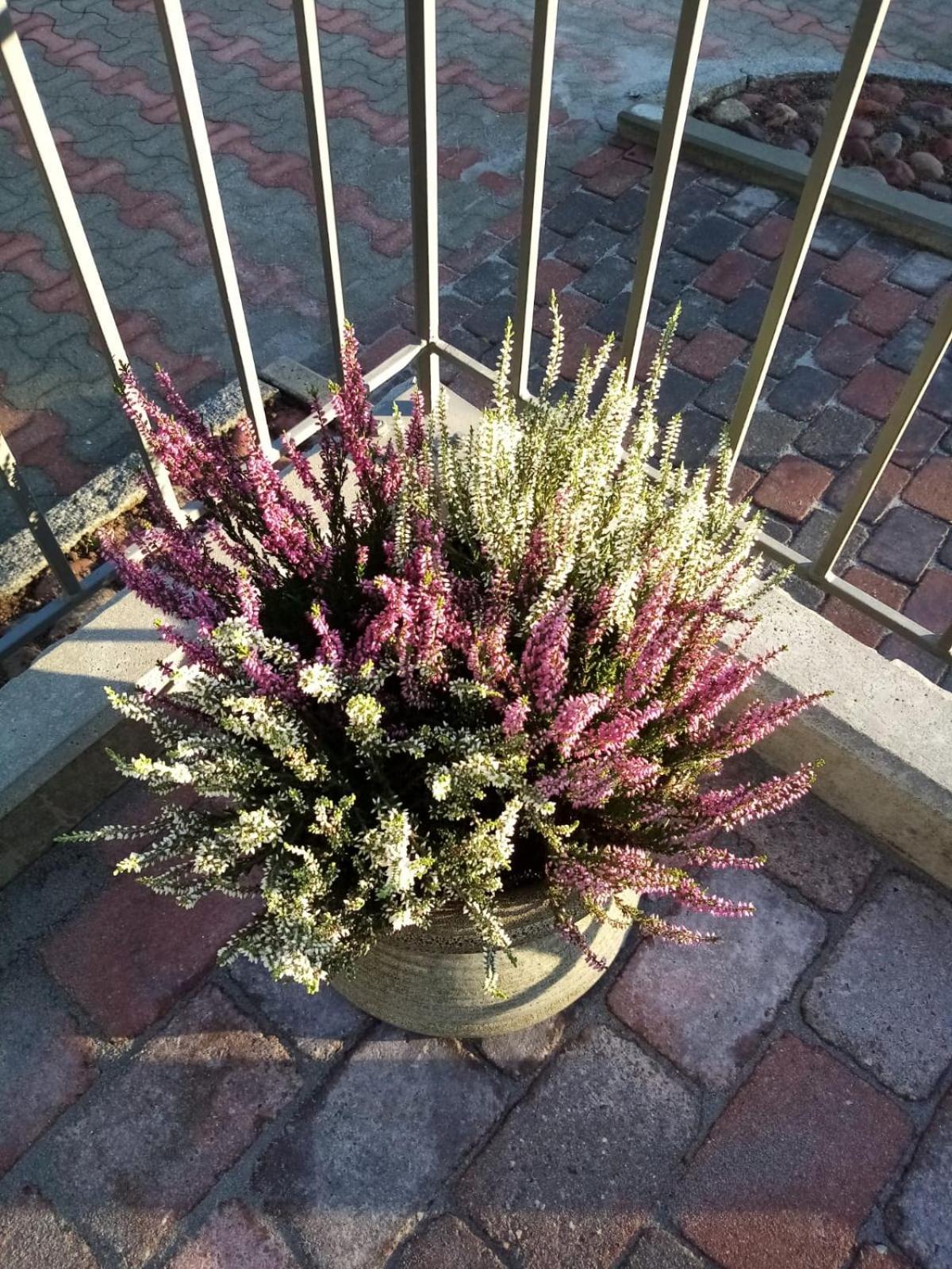 Birgittagarden - Gaesthem - Birgittasystrarna Bed & Breakfast Falun Bagian luar foto